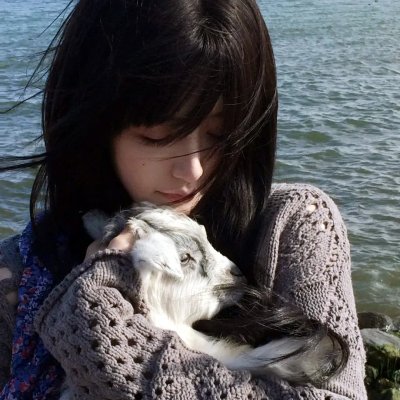 绿绮琴挑