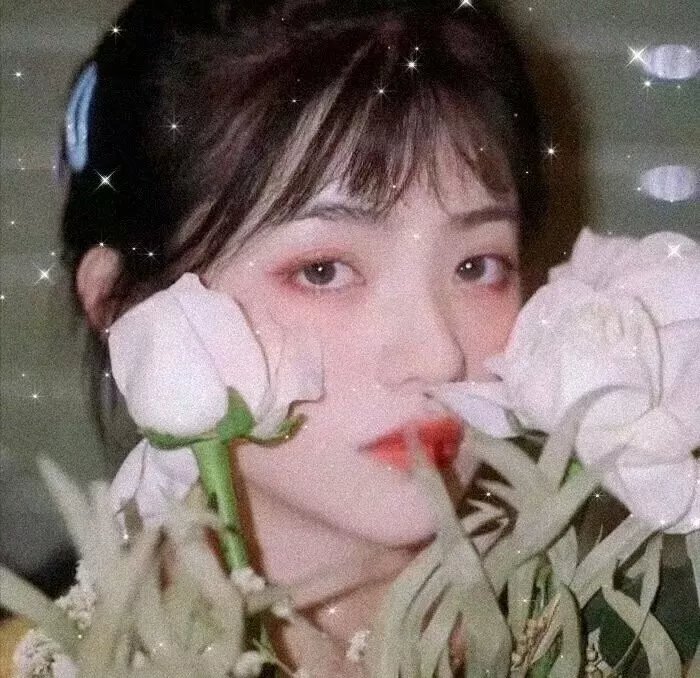 鲅鱼恋上猫